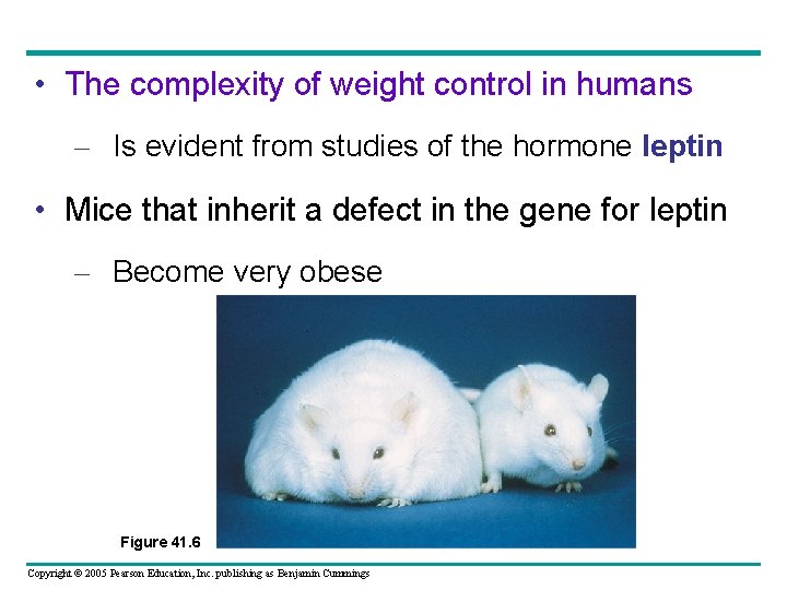 • The complexity of weight control in humans – Is evident from studies