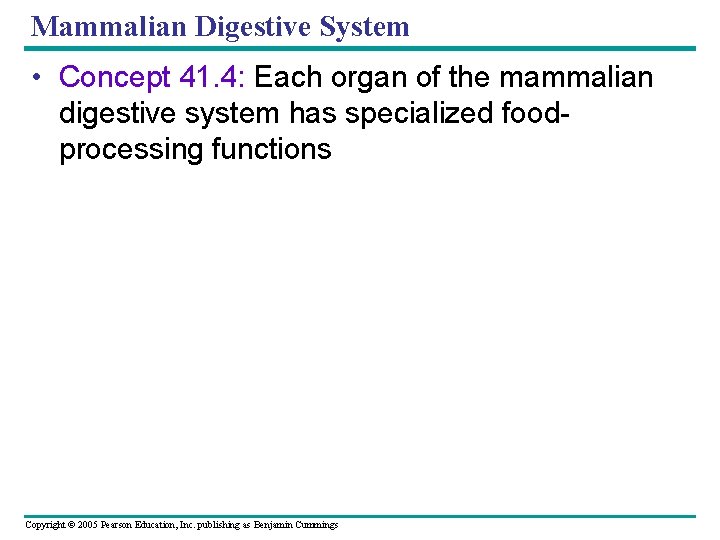 Mammalian Digestive System • Concept 41. 4: Each organ of the mammalian digestive system