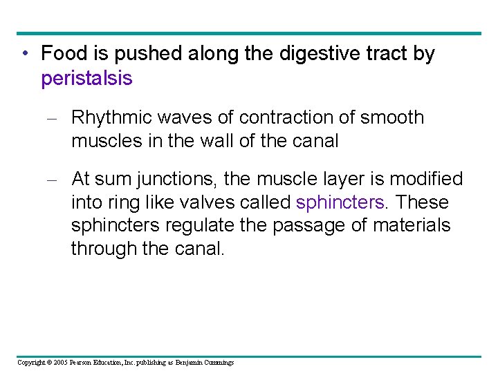  • Food is pushed along the digestive tract by peristalsis – Rhythmic waves