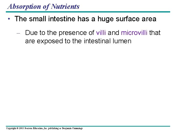 Absorption of Nutrients • The small intestine has a huge surface area – Due