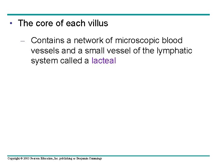  • The core of each villus – Contains a network of microscopic blood