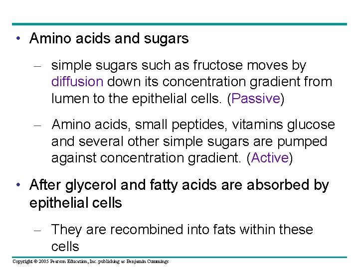  • Amino acids and sugars – simple sugars such as fructose moves by
