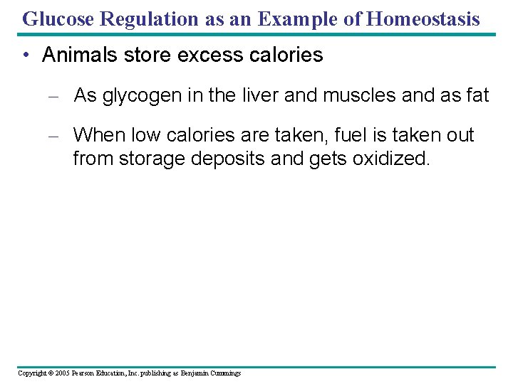 Glucose Regulation as an Example of Homeostasis • Animals store excess calories – As