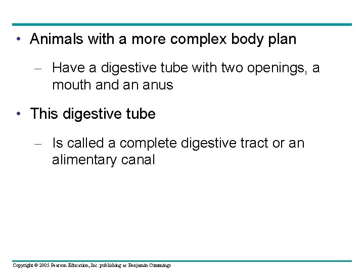  • Animals with a more complex body plan – Have a digestive tube