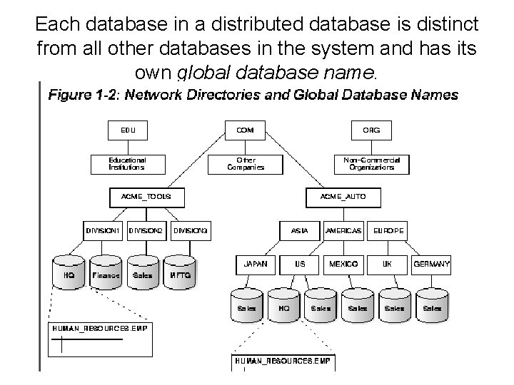 Each database in a distributed database is distinct from all other databases in the