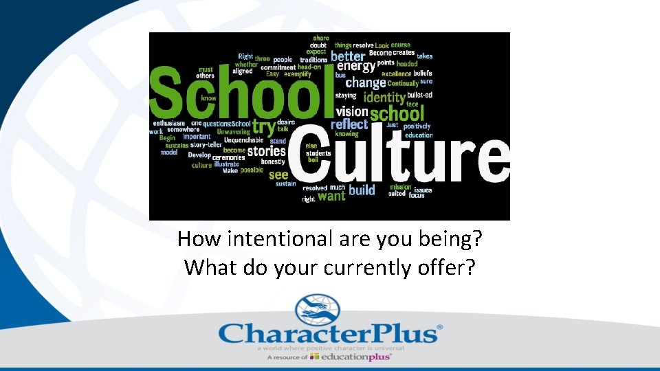 How intentional are you being? What do your currently offer? 