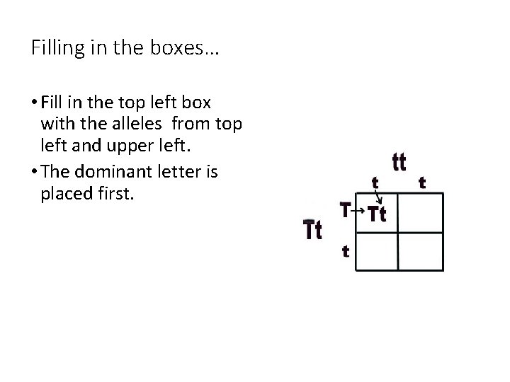 Filling in the boxes… • Fill in the top left box with the alleles