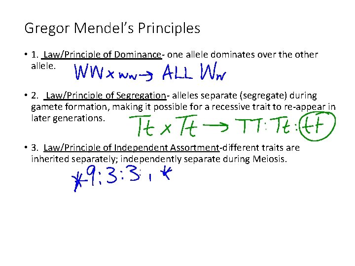 Gregor Mendel’s Principles • 1. Law/Principle of Dominance- one allele dominates over the other