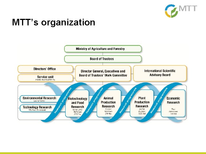 MTT’s organization 