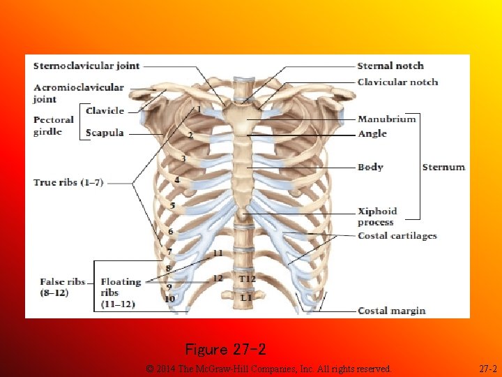 Figure 27 -2 © 2014 The Mc. Graw-Hill Companies, Inc. All rights reserved. 27