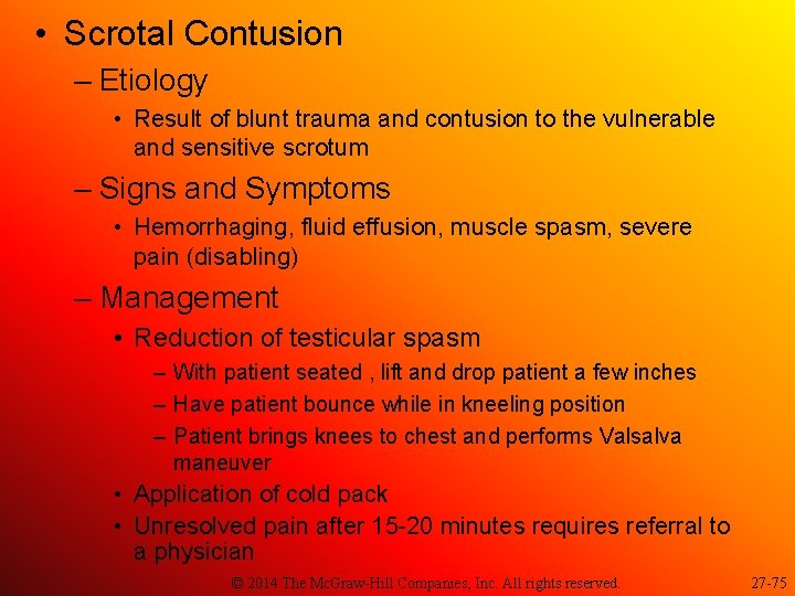  • Scrotal Contusion – Etiology • Result of blunt trauma and contusion to