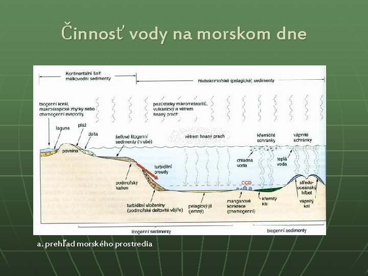 Činnosť vody na morskom dne a. prehľad morského prostredia 