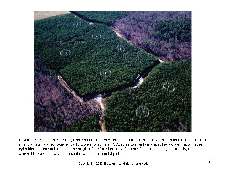 FIGURE 5. 15 The Free-Air CO 2 Enrichment experiment in Duke Forest in central