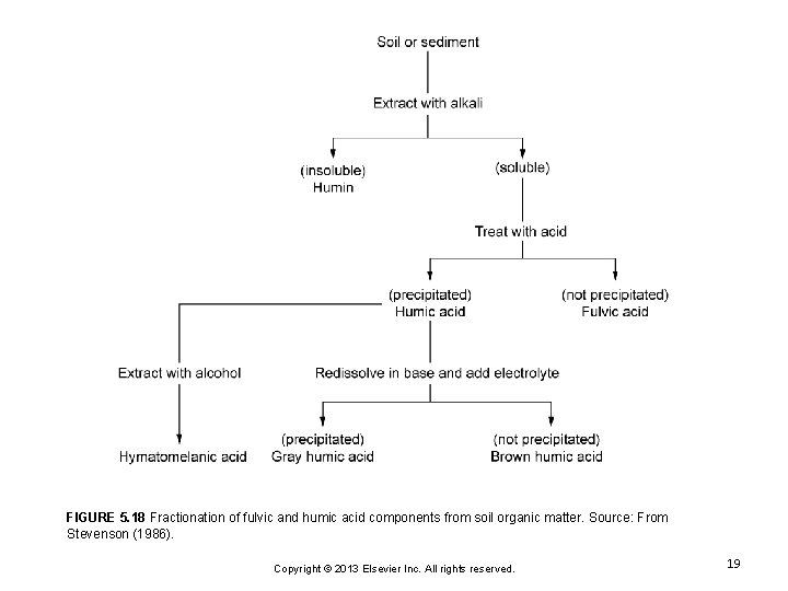 FIGURE 5. 18 Fractionation of fulvic and humic acid components from soil organic matter.