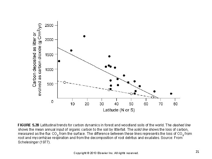 FIGURE 5. 20 Latitudinal trends for carbon dynamics in forest and woodland soils of