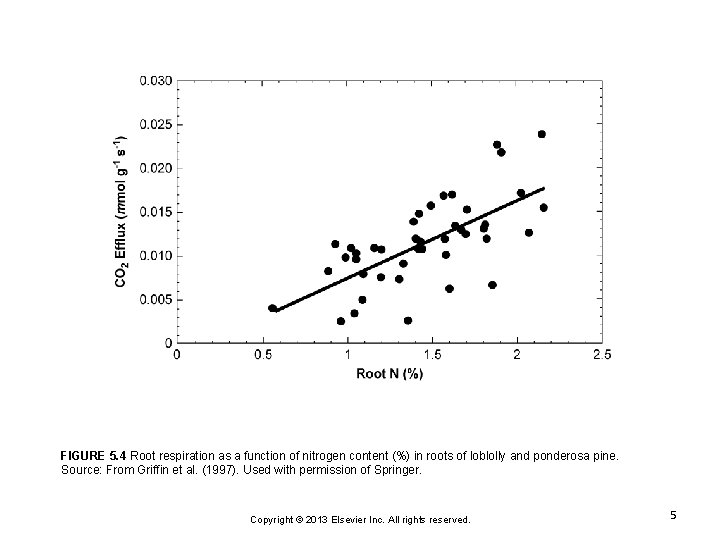 FIGURE 5. 4 Root respiration as a function of nitrogen content (%) in roots