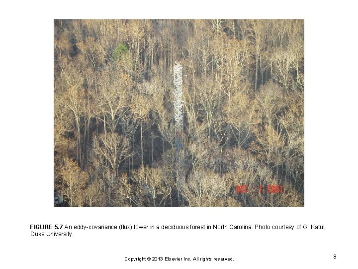 FIGURE 5. 7 An eddy-covariance (flux) tower in a deciduous forest in North Carolina.