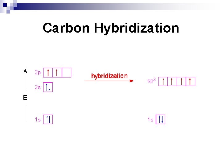 Carbon Hybridization 