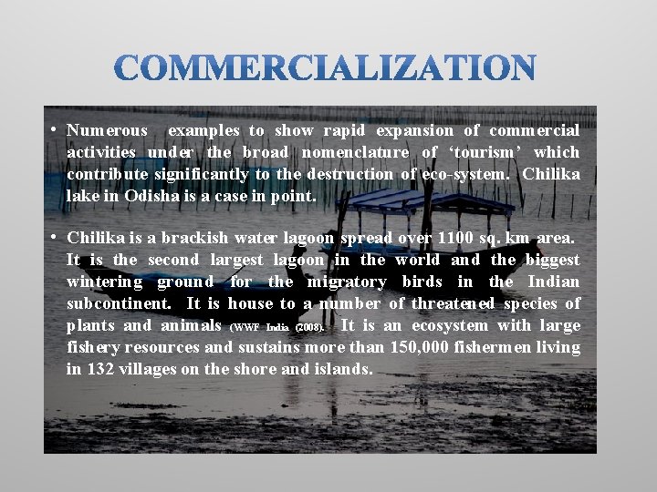  • Numerous examples to show rapid expansion of commercial activities under the broad