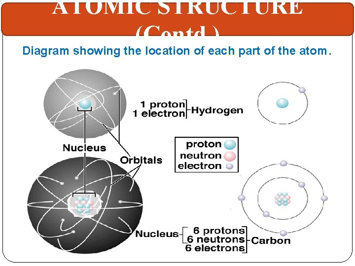 ATOMIC STRUCTURE (Contd. ) Diagram showing the location of each part of the atom.