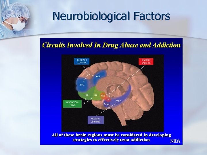 Neurobiological Factors 