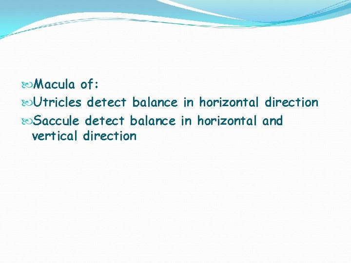  Macula of: Utricles detect balance in horizontal direction Saccule detect balance in horizontal