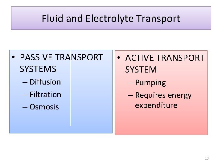 Fluid and Electrolyte Transport • PASSIVE TRANSPORT SYSTEMS – Diffusion – Filtration – Osmosis