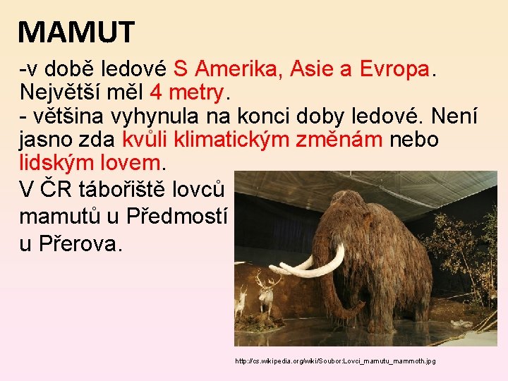 MAMUT -v době ledové S Amerika, Asie a Evropa. Největší měl 4 metry. -