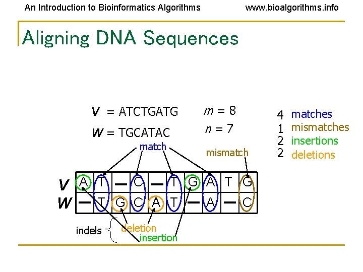 An Introduction to Bioinformatics Algorithms www. bioalgorithms. info Aligning DNA Sequences V = ATCTGATG An Introduction to Bioinformatics Algorithms www. bioalgorithms. info Aligning DNA Sequences V = ATCTGATG