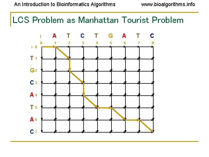An Introduction to Bioinformatics Algorithms www. bioalgorithms. info LCS Problem as Manhattan Tourist Problem An Introduction to Bioinformatics Algorithms www. bioalgorithms. info LCS Problem as Manhattan Tourist Problem