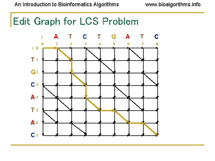 An Introduction to Bioinformatics Algorithms www. bioalgorithms. info Edit Graph for LCS Problem i An Introduction to Bioinformatics Algorithms www. bioalgorithms. info Edit Graph for LCS Problem i