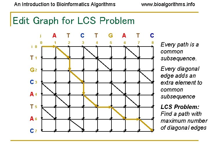 An Introduction to Bioinformatics Algorithms www. bioalgorithms. info Edit Graph for LCS Problem i An Introduction to Bioinformatics Algorithms www. bioalgorithms. info Edit Graph for LCS Problem i