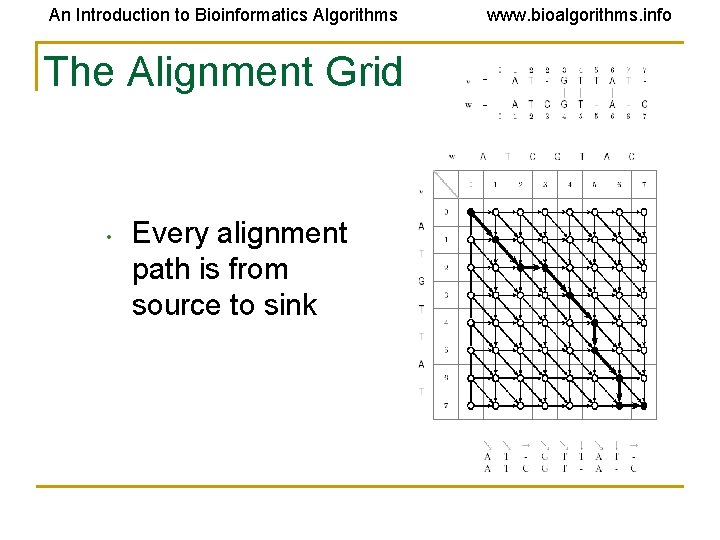 An Introduction to Bioinformatics Algorithms The Alignment Grid • Every alignment path is from An Introduction to Bioinformatics Algorithms The Alignment Grid • Every alignment path is from