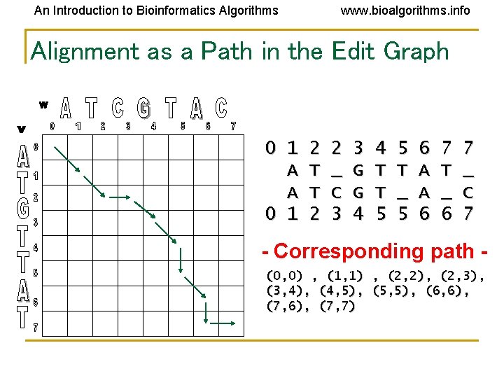 An Introduction to Bioinformatics Algorithms www. bioalgorithms. info Alignment as a Path in the An Introduction to Bioinformatics Algorithms www. bioalgorithms. info Alignment as a Path in the