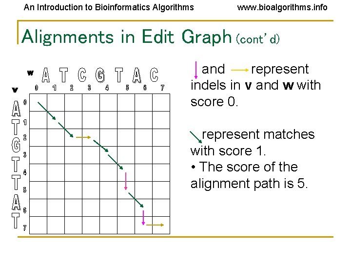 An Introduction to Bioinformatics Algorithms www. bioalgorithms. info Alignments in Edit Graph (cont’d) and An Introduction to Bioinformatics Algorithms www. bioalgorithms. info Alignments in Edit Graph (cont’d) and