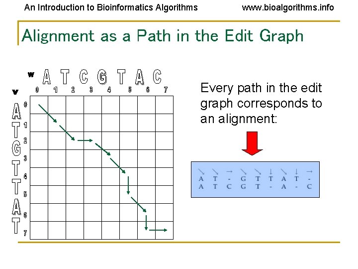 An Introduction to Bioinformatics Algorithms www. bioalgorithms. info Alignment as a Path in the An Introduction to Bioinformatics Algorithms www. bioalgorithms. info Alignment as a Path in the