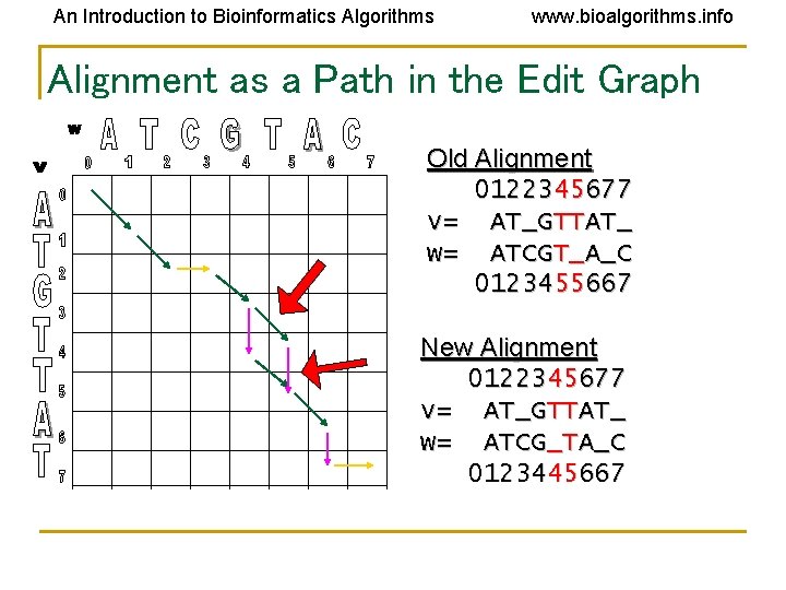 An Introduction to Bioinformatics Algorithms www. bioalgorithms. info Alignment as a Path in the An Introduction to Bioinformatics Algorithms www. bioalgorithms. info Alignment as a Path in the