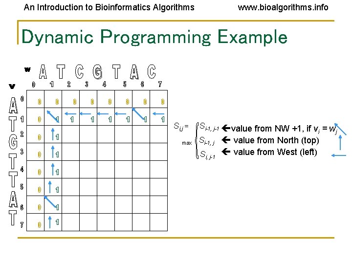 An Introduction to Bioinformatics Algorithms www. bioalgorithms. info Dynamic Programming Example Si, j = An Introduction to Bioinformatics Algorithms www. bioalgorithms. info Dynamic Programming Example Si, j =