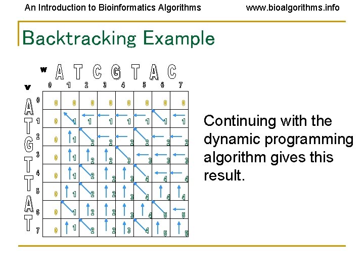 An Introduction to Bioinformatics Algorithms www. bioalgorithms. info Backtracking Example Continuing with the dynamic An Introduction to Bioinformatics Algorithms www. bioalgorithms. info Backtracking Example Continuing with the dynamic