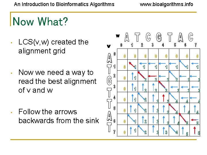 An Introduction to Bioinformatics Algorithms Now What? • LCS(v, w) created the alignment grid An Introduction to Bioinformatics Algorithms Now What? • LCS(v, w) created the alignment grid