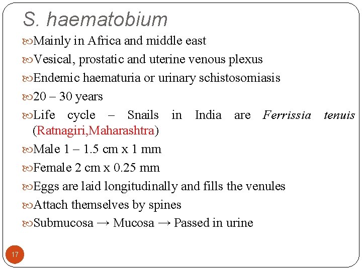 S. haematobium Mainly in Africa and middle east Vesical, prostatic and uterine venous plexus