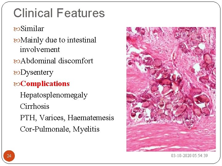 Clinical Features Similar Mainly due to intestinal involvement Abdominal discomfort Dysentery Complications Hepatosplenomegaly Cirrhosis
