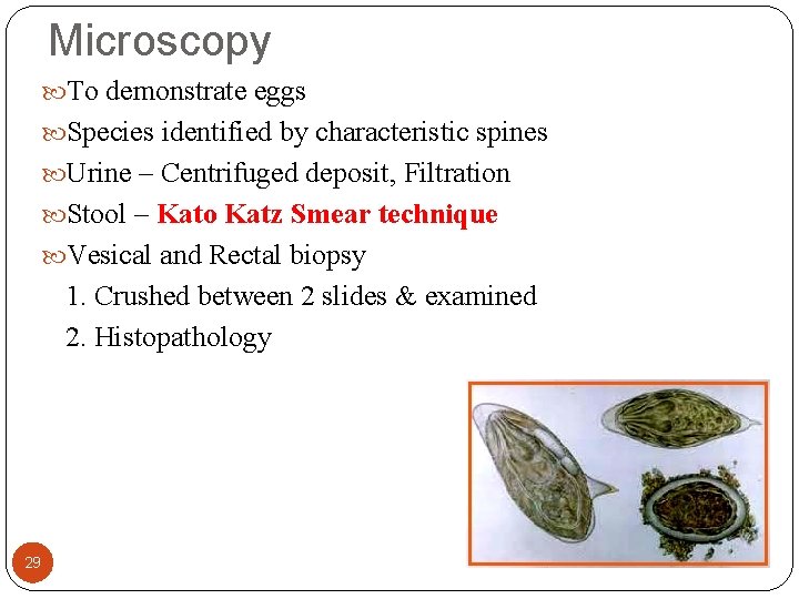 Microscopy To demonstrate eggs Species identified by characteristic spines Urine – Centrifuged deposit, Filtration