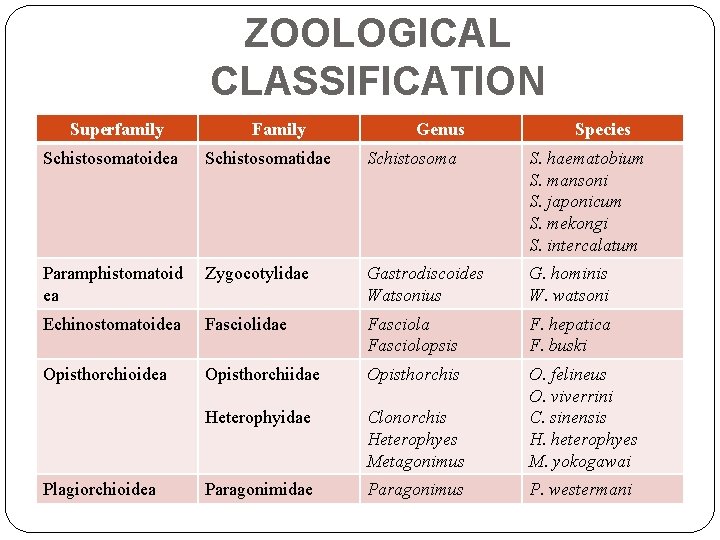 ZOOLOGICAL CLASSIFICATION Superfamily Family Genus Species Schistosomatoidea Schistosomatidae Schistosoma S. haematobium S. mansoni S.