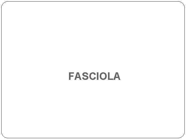 FASCIOLA 