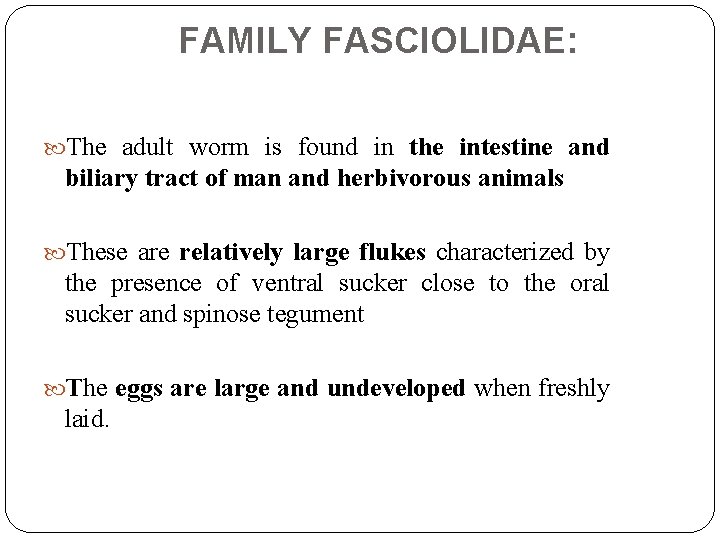 FAMILY FASCIOLIDAE: The adult worm is found in the intestine and biliary tract of