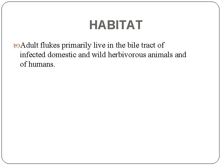 HABITAT Adult flukes primarily live in the bile tract of infected domestic and wild