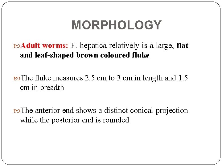 MORPHOLOGY Adult worms: F. hepatica relatively is a large, flat and leaf-shaped brown coloured