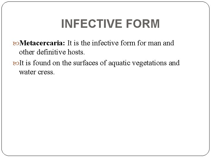 INFECTIVE FORM Metacercaria: It is the infective form for man and other definitive hosts.