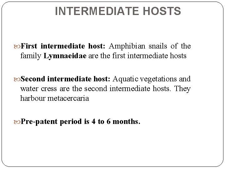 INTERMEDIATE HOSTS First intermediate host: Amphibian snails of the family Lymnaeidae are the first